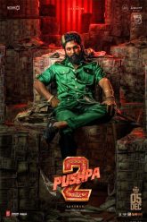 Pushpa 2 The Rule (2024) Movie